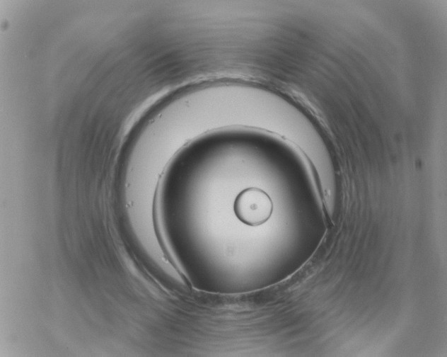 X0000078310536200611251536