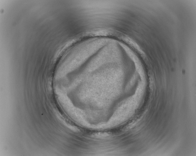 X0000078310537200611251536