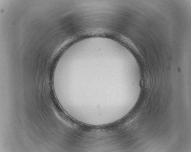 X0000078310538200611251536