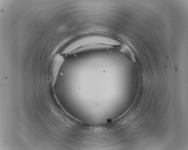 X0000078310539200611251536