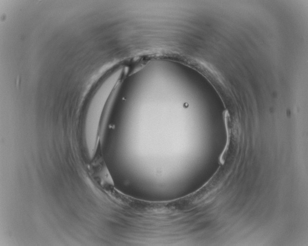 X0000078310540200611251536