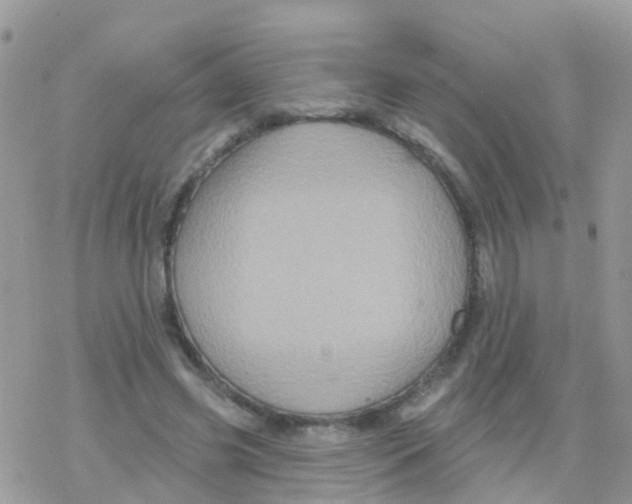 X0000078310541200611251536