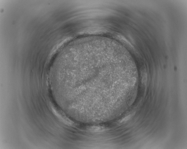 X0000078310542200611251536