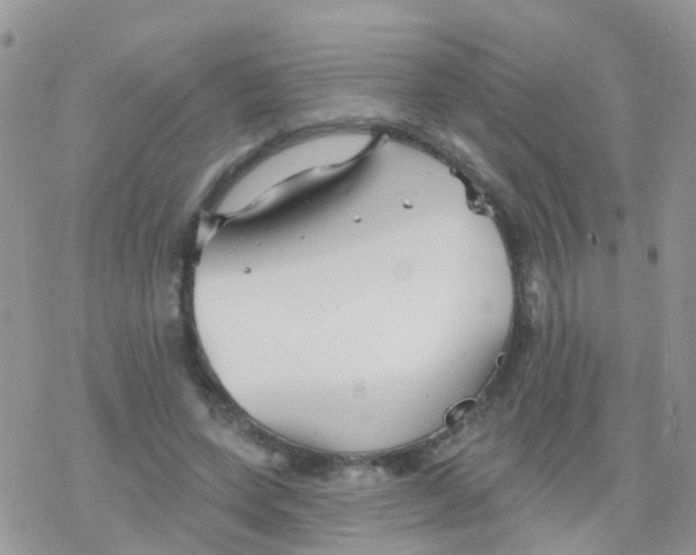 X0000078310543200611251536