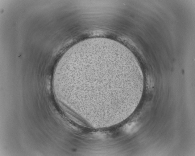 X0000078310545200611251536