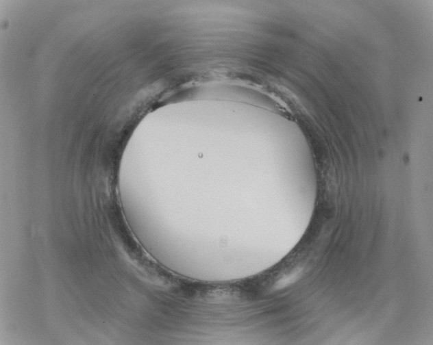 X0000078310546200611251536