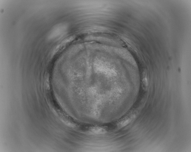 X0000078310547200611251536