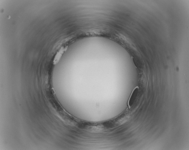 X0000078310548200611251536