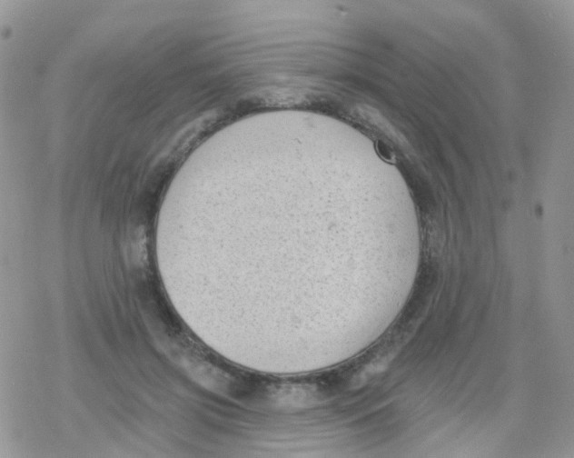 X0000078310549200611251536