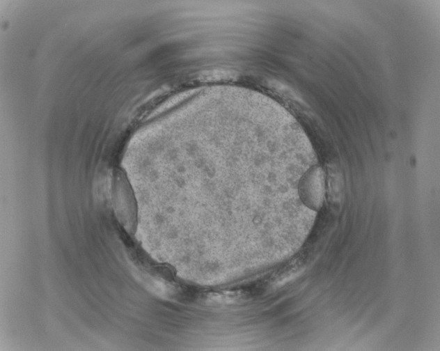 X0000078310550200611251536