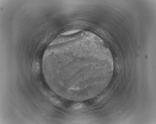 X0000078310551200611251536