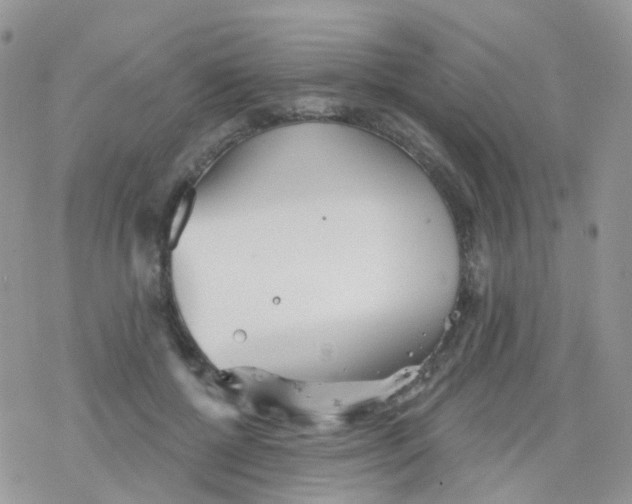 X0000078310552200611251536