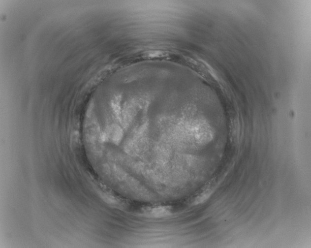 X0000078310553200611251536