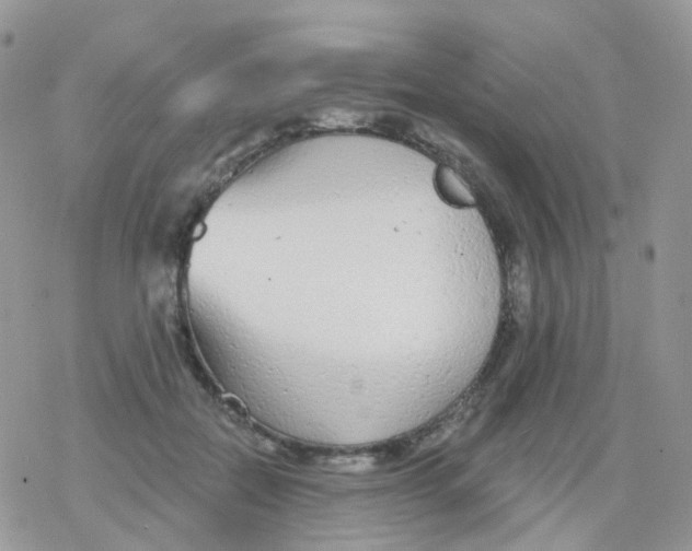 X0000078310554200611251536