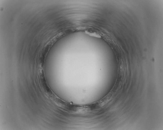 X0000078310555200611251536