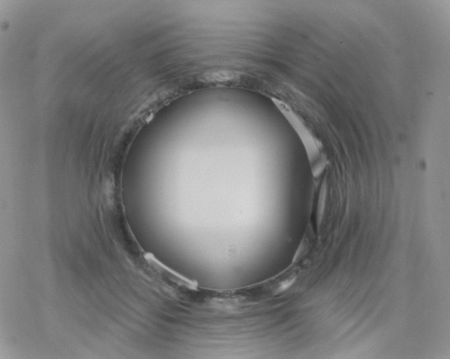 X0000078310556200611251536