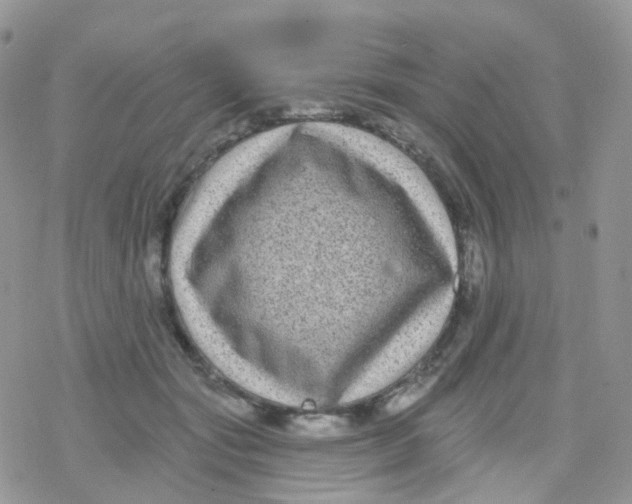 X0000078310557200611251536