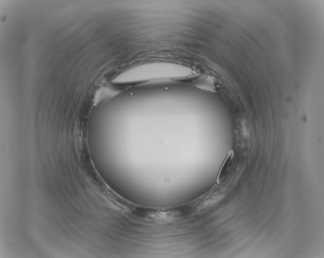 X0000078310558200611251536