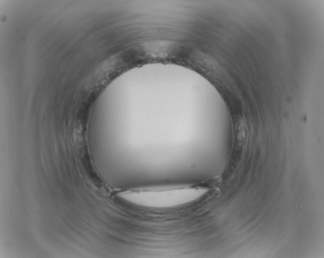 X0000078310559200611251536