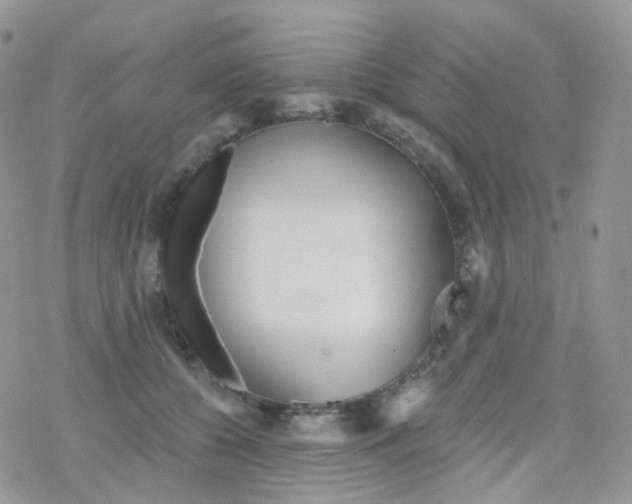 X0000078310560200611251536