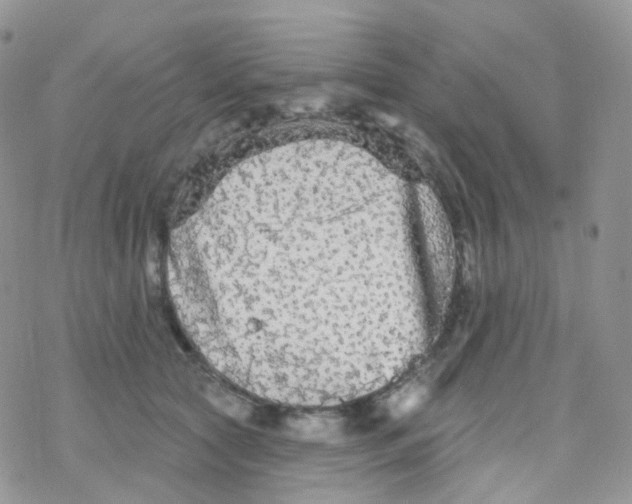 X0000078310561200611251536