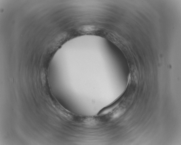 X0000078310562200611251536