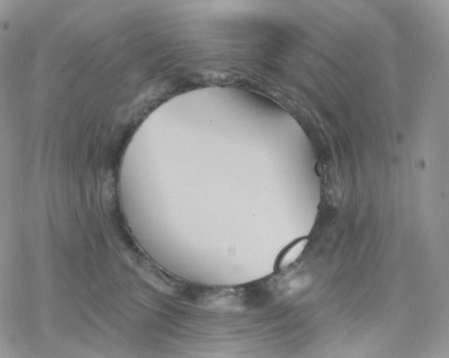 X0000078310563200611251536