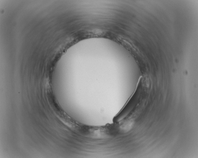 X0000078310564200611251536