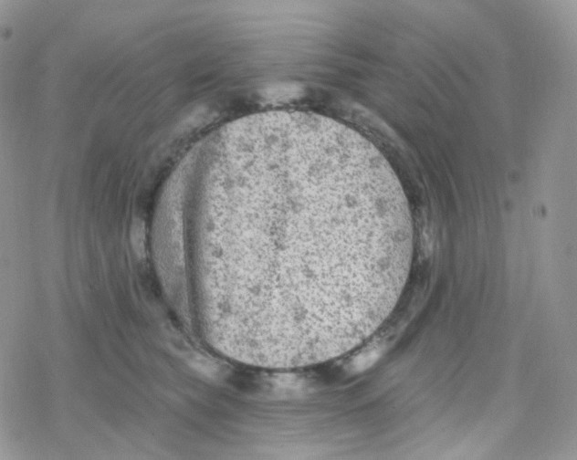 X0000078310565200611251536