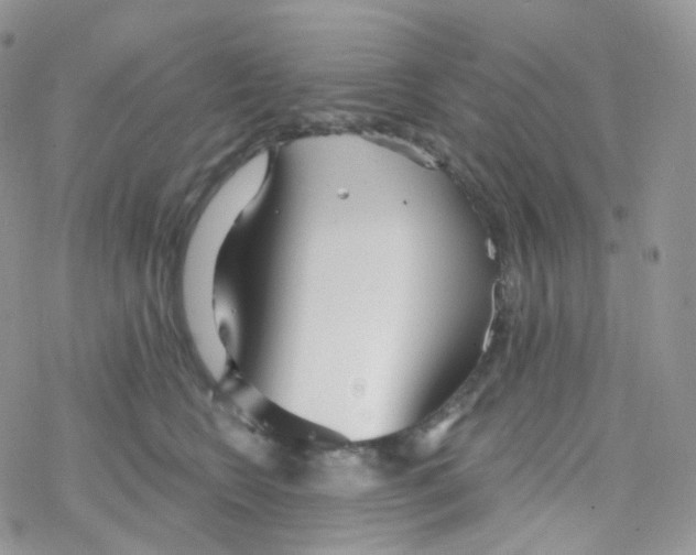 X0000078310566200611251536