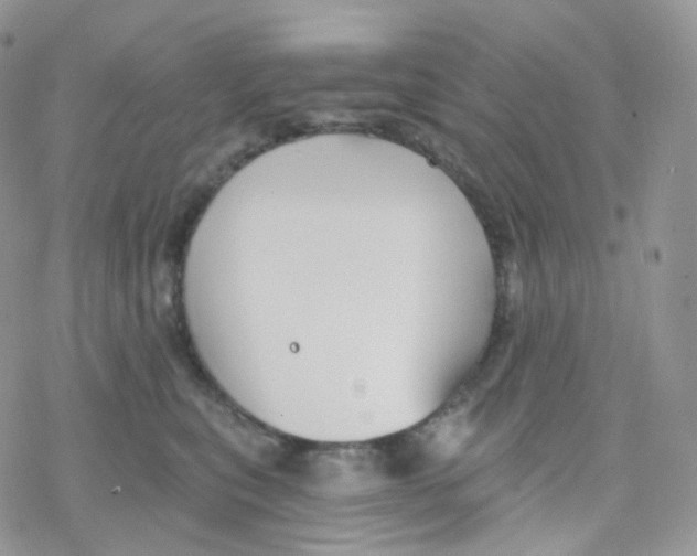 X0000078310567200611251536