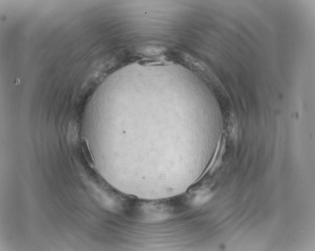 X0000078310568200611251536