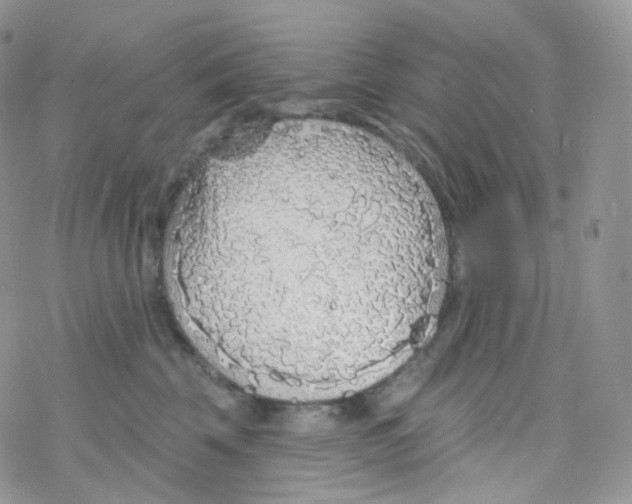 X0000078310569200611251536