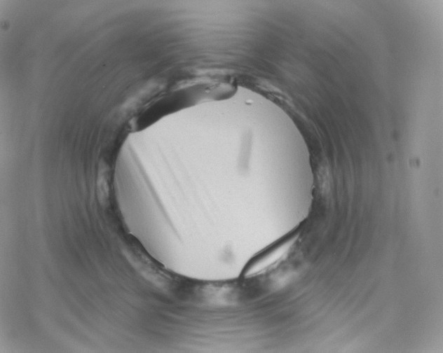 X0000078310570200611251536