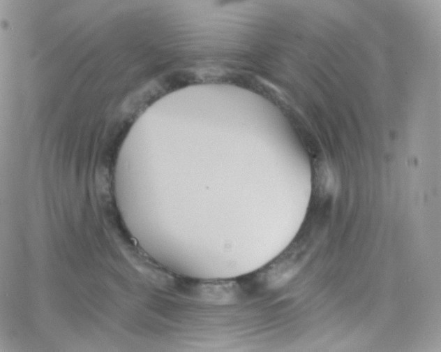 X0000078310571200611251536