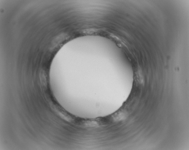 X0000078310572200611251536