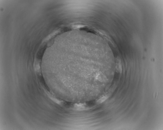 X0000078310573200611251536