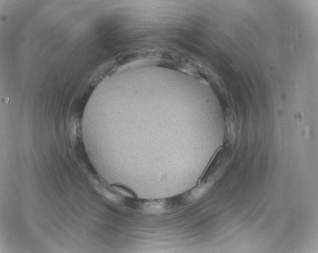 X0000078310574200611251536