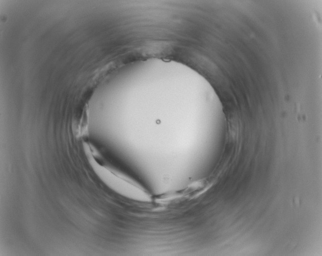 X0000078310575200611251536