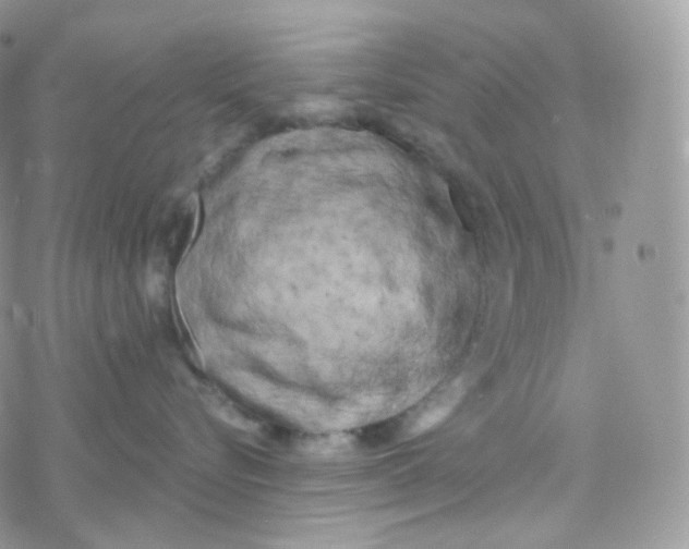 X0000078310576200611251536