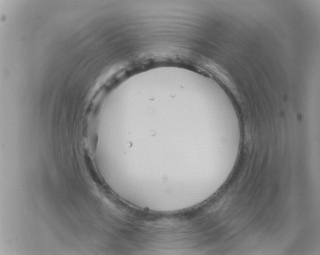 X0000078310578200611251536