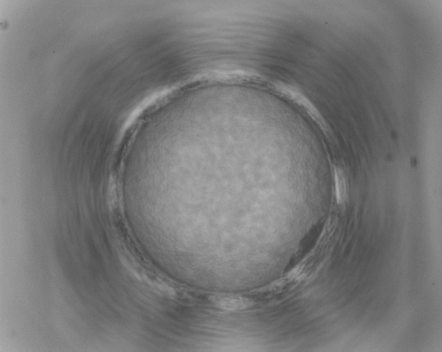 X0000078310579200611251535