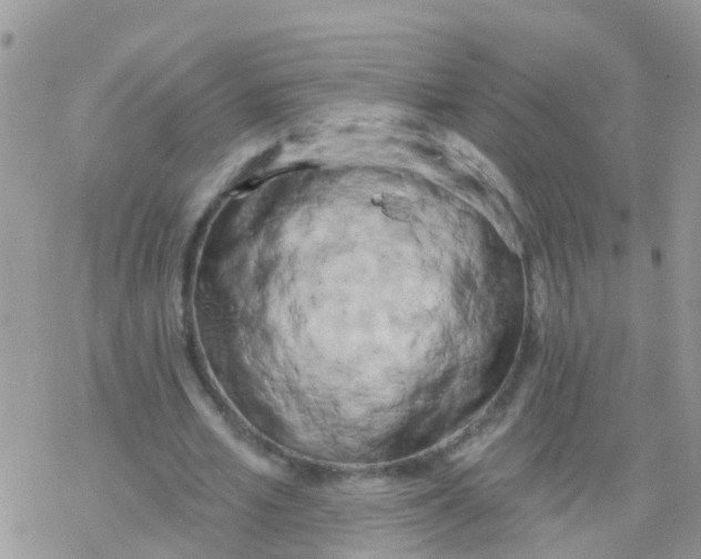 X0000078310581200611251535