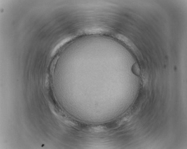 X0000078310583200611251535