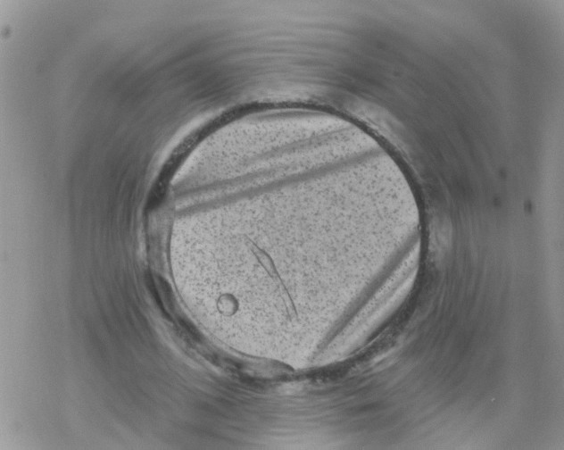 X0000078310584200611251535