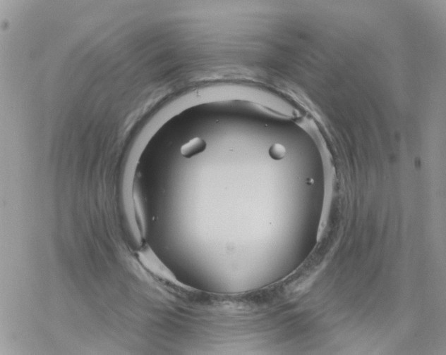 X0000078310585200611251535