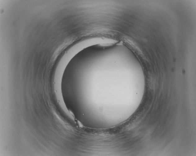 X0000078310586200611251535