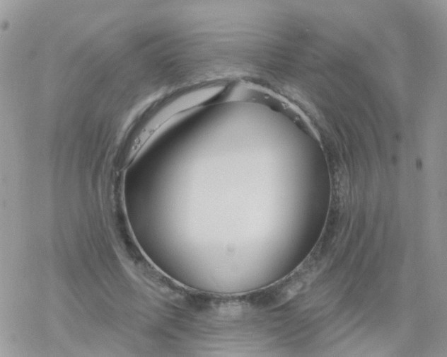 X0000078310587200611251535