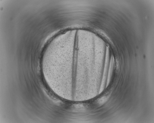 X0000078310588200611251535