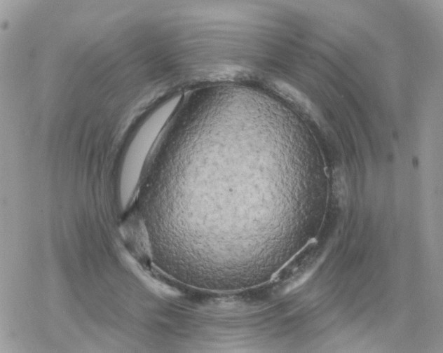 X0000078310589200611251535